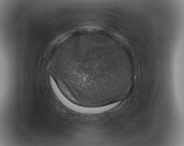 X0000083981014200703091819