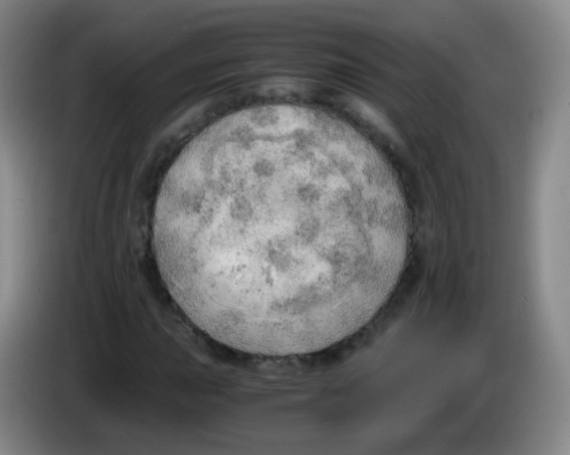 X0000083981015200703091819