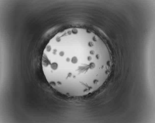 X0000083981016200703091819