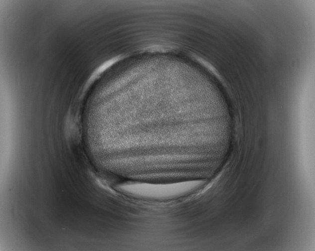 X0000083981018200703091819