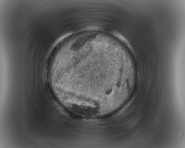 X0000083981019200703091819