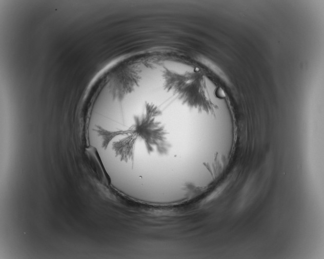 X0000083981021200703091819