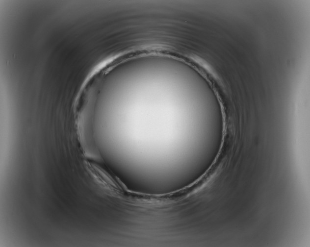 X0000083981022200703091819