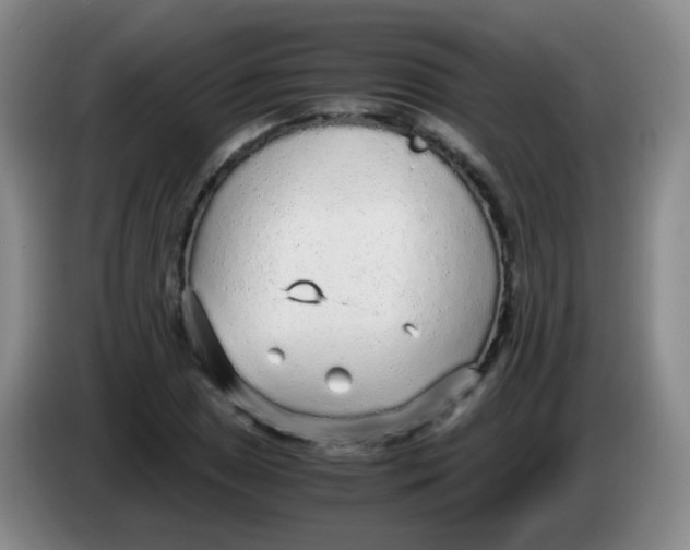 X0000083981025200703091819