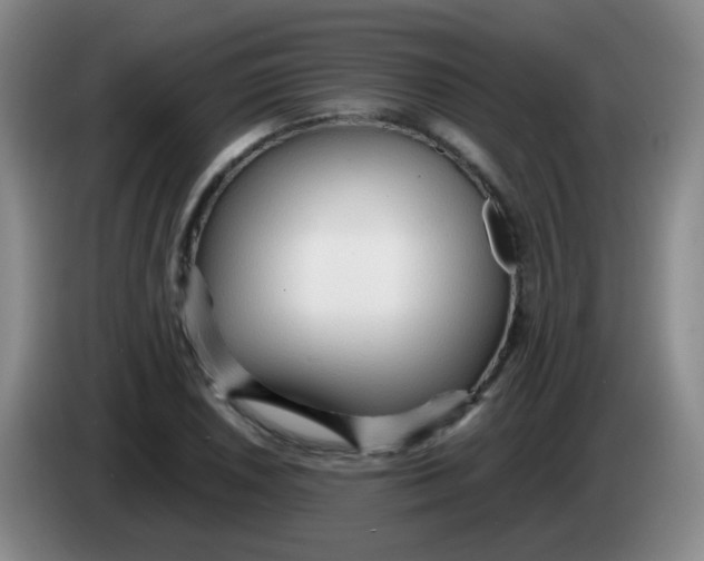 X0000083981026200703091819