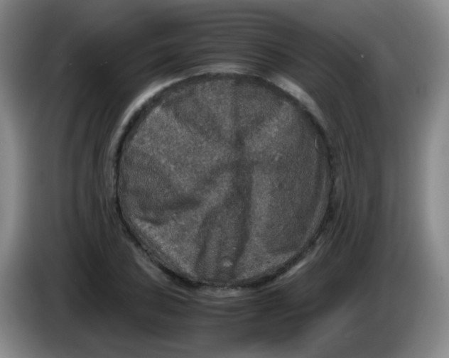 X0000083981027200703091819