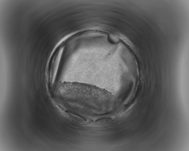 X0000083981028200703091819