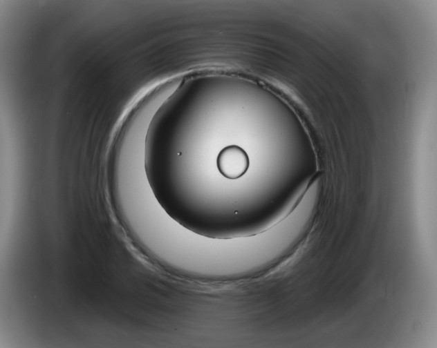 X0000083981030200703091819