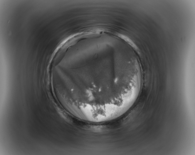 X0000083981031200703091819