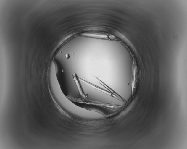 X0000083981033200703091819