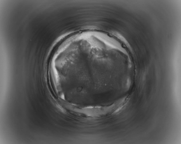 X0000083981035200703091819