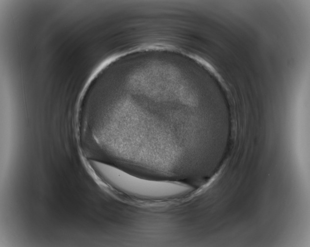 X0000083981038200703091819