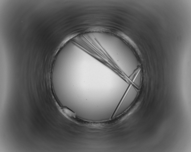 X0000083981041200703091819