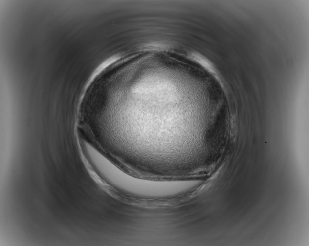 X0000083981042200703091819