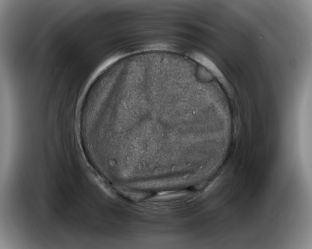 X0000083981043200703091819