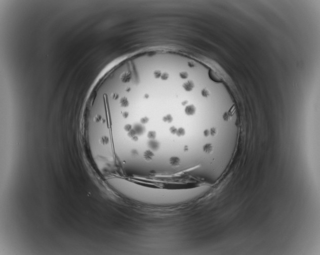 X0000083981044200703091819