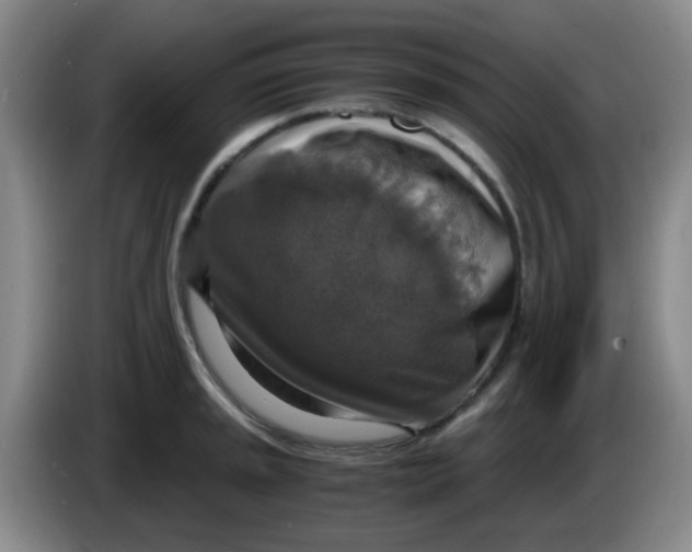 X0000083981045200703091819