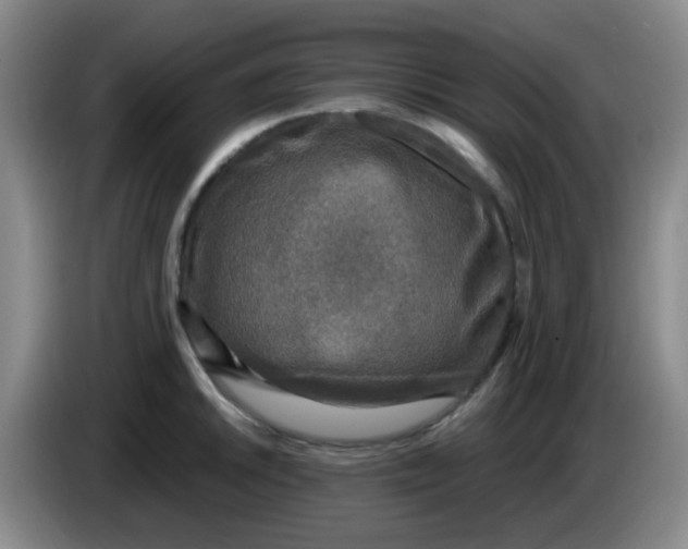 X0000083981046200703091819