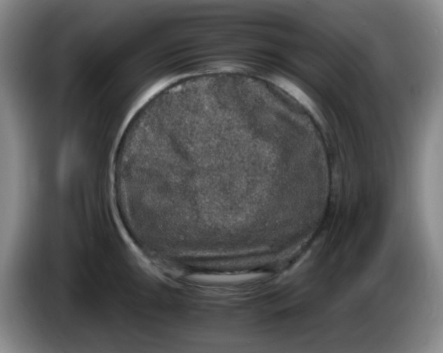 X0000083981047200703091819