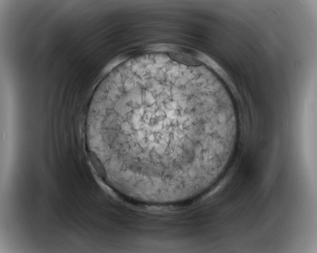 X0000083981049200703091819