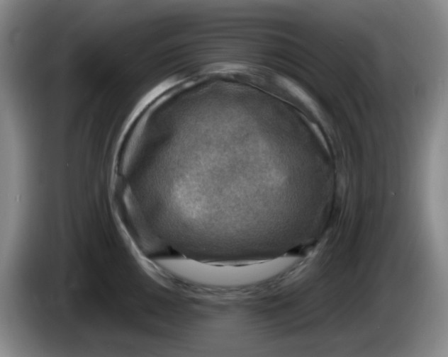 X0000083981050200703091819