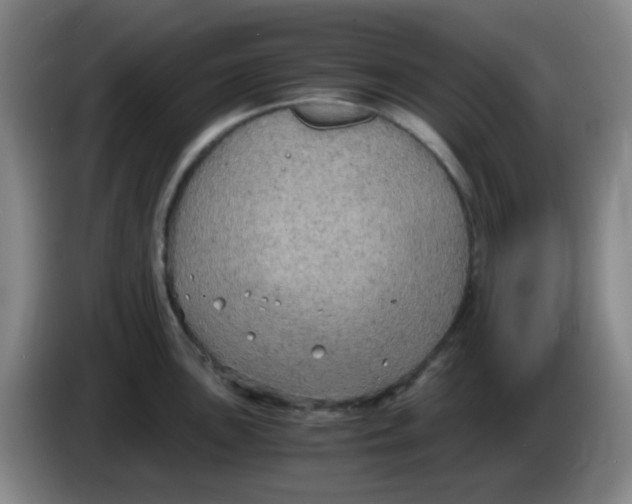 X0000083981051200703091820