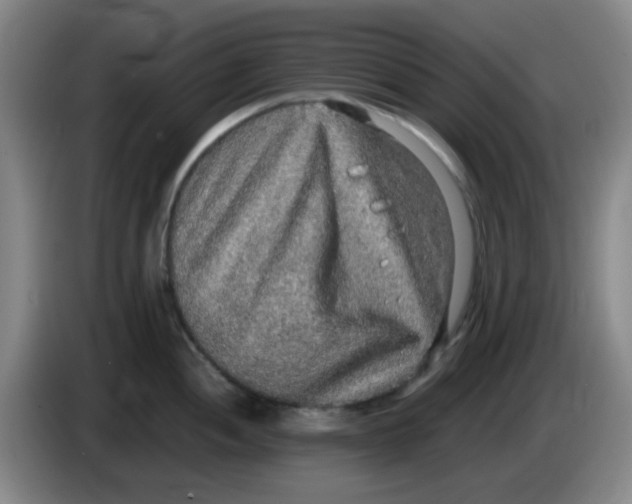 X0000083981052200703091820