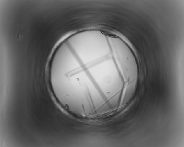 X0000083981053200703091820