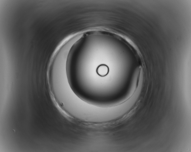 X0000083981054200703091820