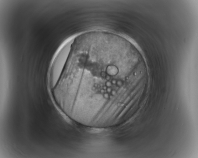 X0000083981056200703091820