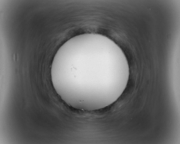 X0000083981057200703091819