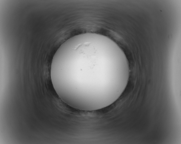 X0000083981058200703091819