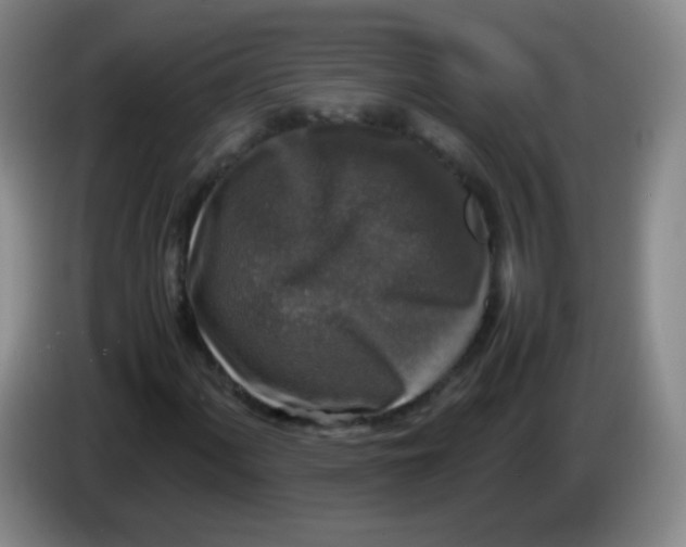 X0000083981060200703091819