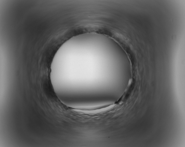 X0000083981061200703091819