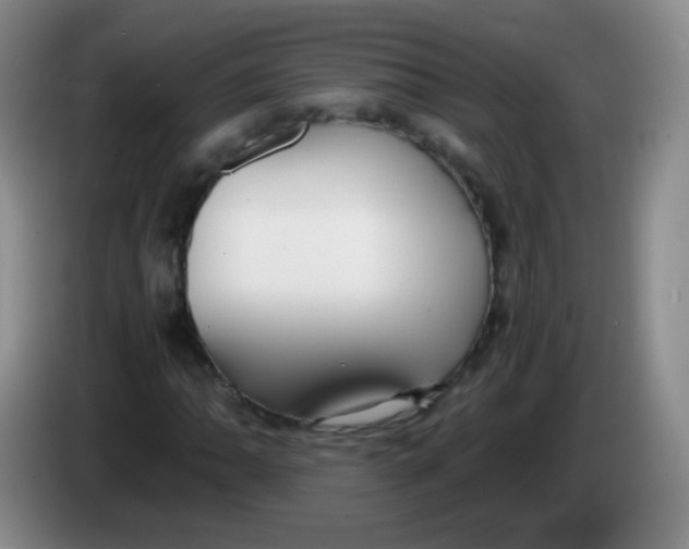 X0000083981062200703091819