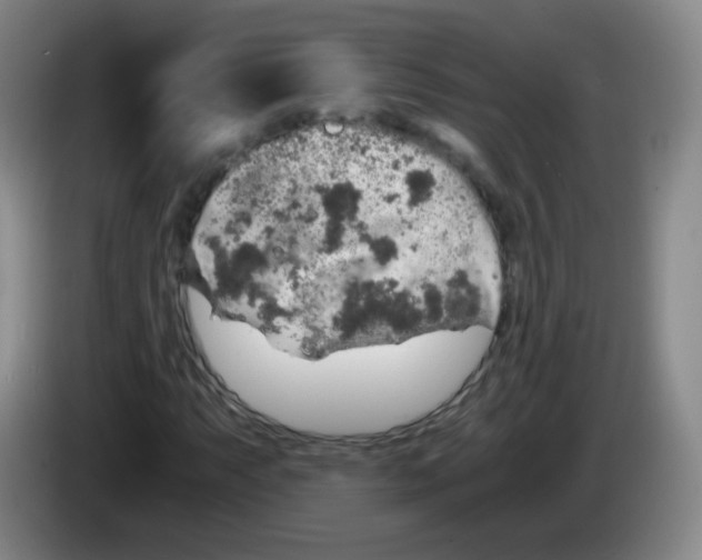 X0000083981063200703091819