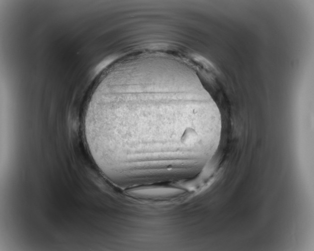 X0000083981065200703091819