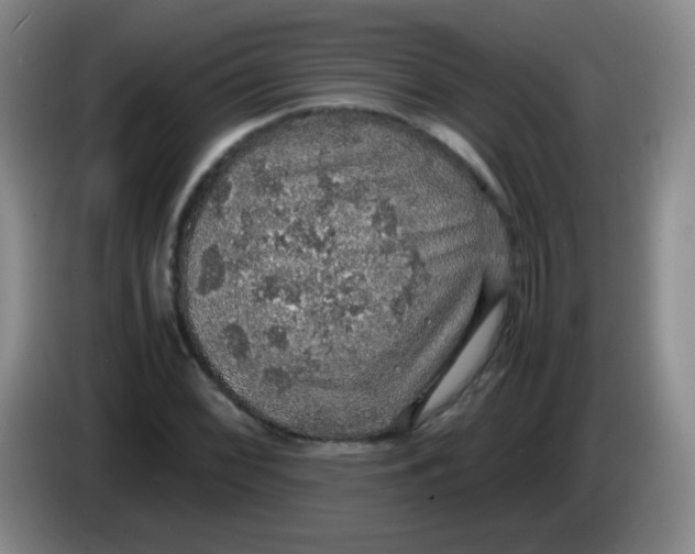 X0000083981068200703091819