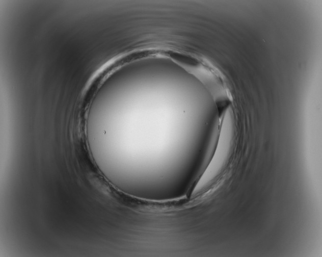 X0000083981069200703091819