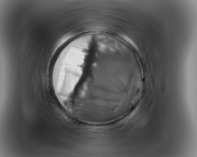 X0000083981071200703091819