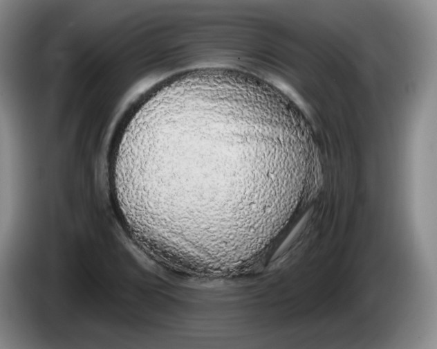 X0000083981072200703091819