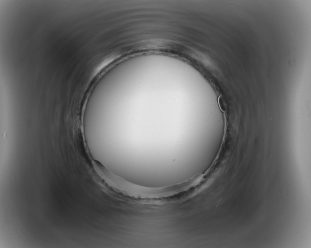 X0000083981073200703091819