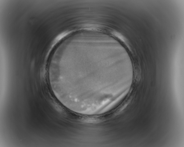 X0000083981074200703091819