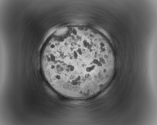 X0000083981075200703091819