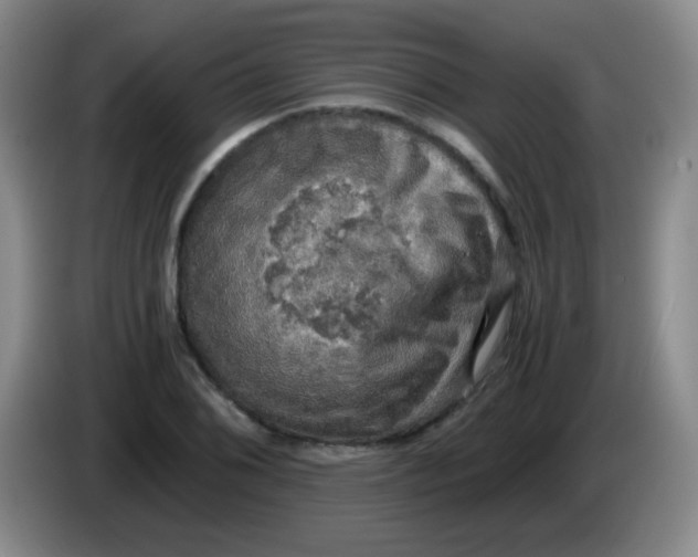 X0000083981076200703091819