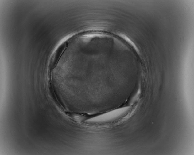 X0000083981077200703091819