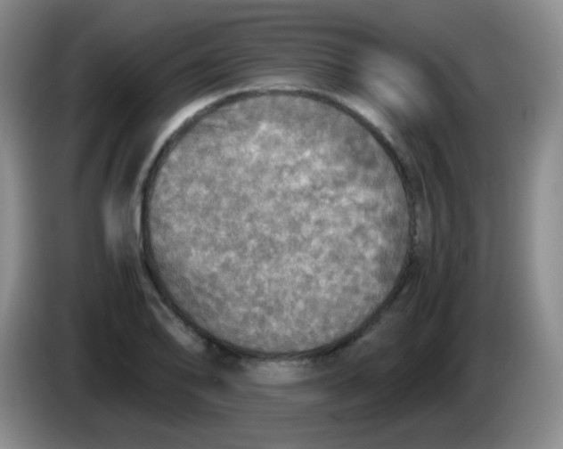 X0000083981078200703091819