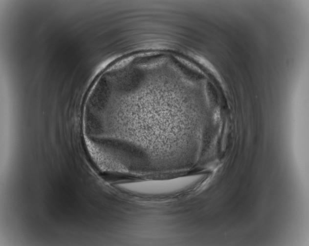 X0000083981081200703091819