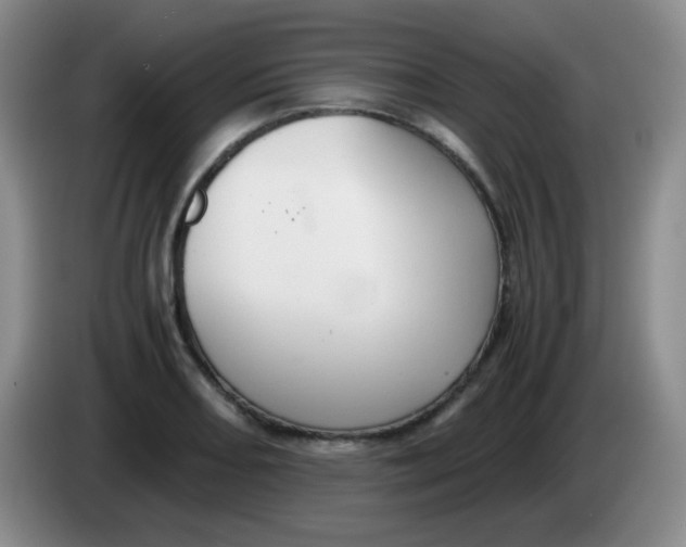 X0000083981082200703091819