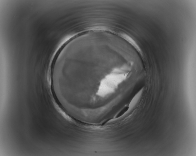 X0000083981084200703091819